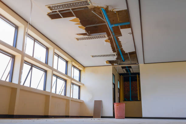 Best Fire Damage Restoration  in Anderson, IN