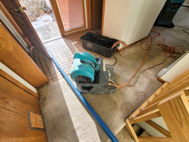 Best Water damage restoration near me  in Anderson, IN