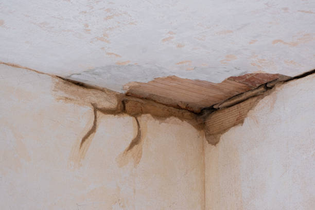 Best Fire Damage Restoration  in Anderson, IN
