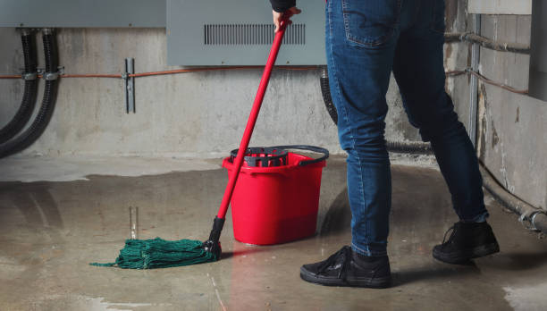 Best Flood damage cleanup  in Anderson, IN