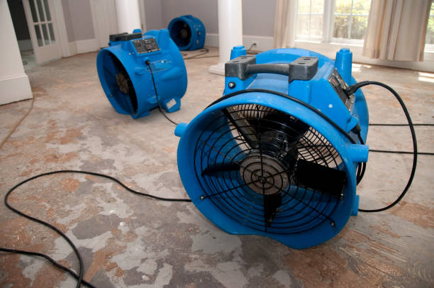 Best Water damage contractors near me  in Anderson, IN