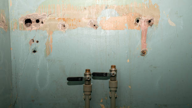 Best 24-hour water damage restoration  in Anderson, IN
