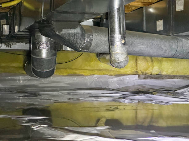 Best Water damage restoration mold remediation  in Anderson, IN