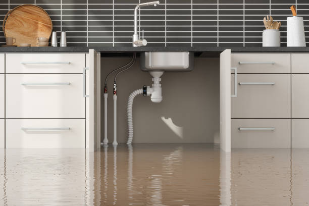 Best 24/7 water damage repair  in Anderson, IN