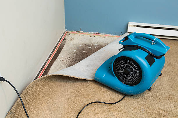  Anderson, IN Water damage restoration Pros